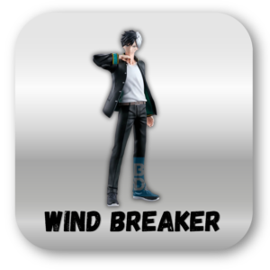 WIND BREAKER