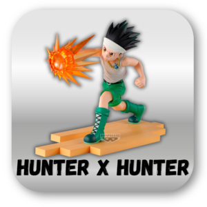 HUNTER X HUNTER