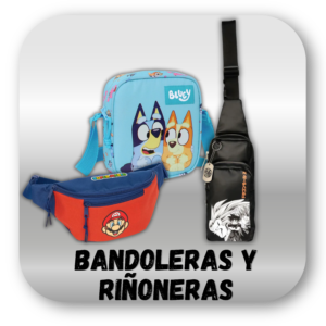 BANDOLERAS Y RIÑONERAS LICENCIAS