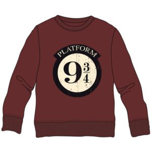 Sudadera Platform 9 3/4 Harry Potter infantil