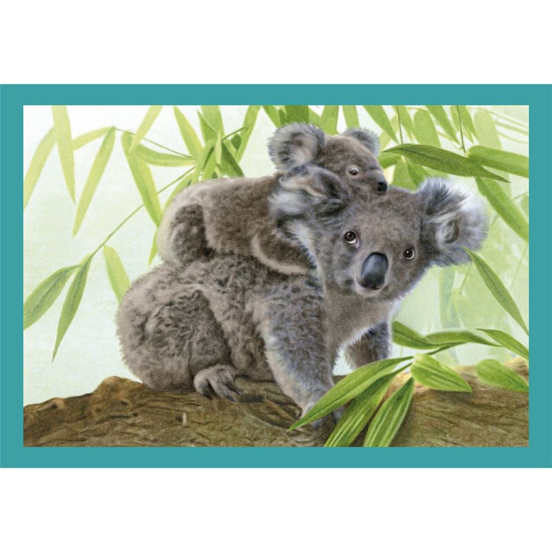 Puzzle Noli Baby Cuddles 12-16-20-24pzs - Imagen 2