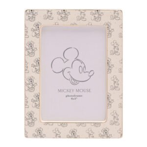 Marco fotos Mickey & Minnie Disney