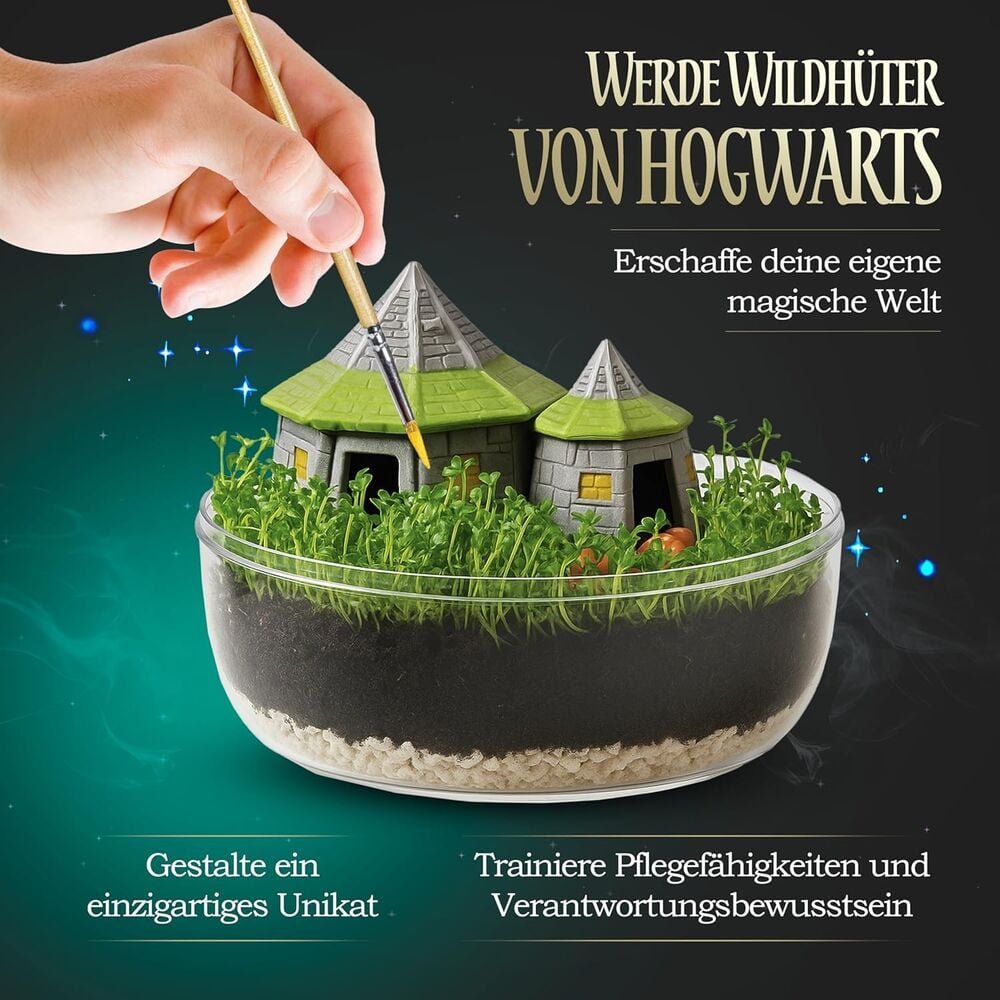 Terrarium Harry Potter - Imagen 3