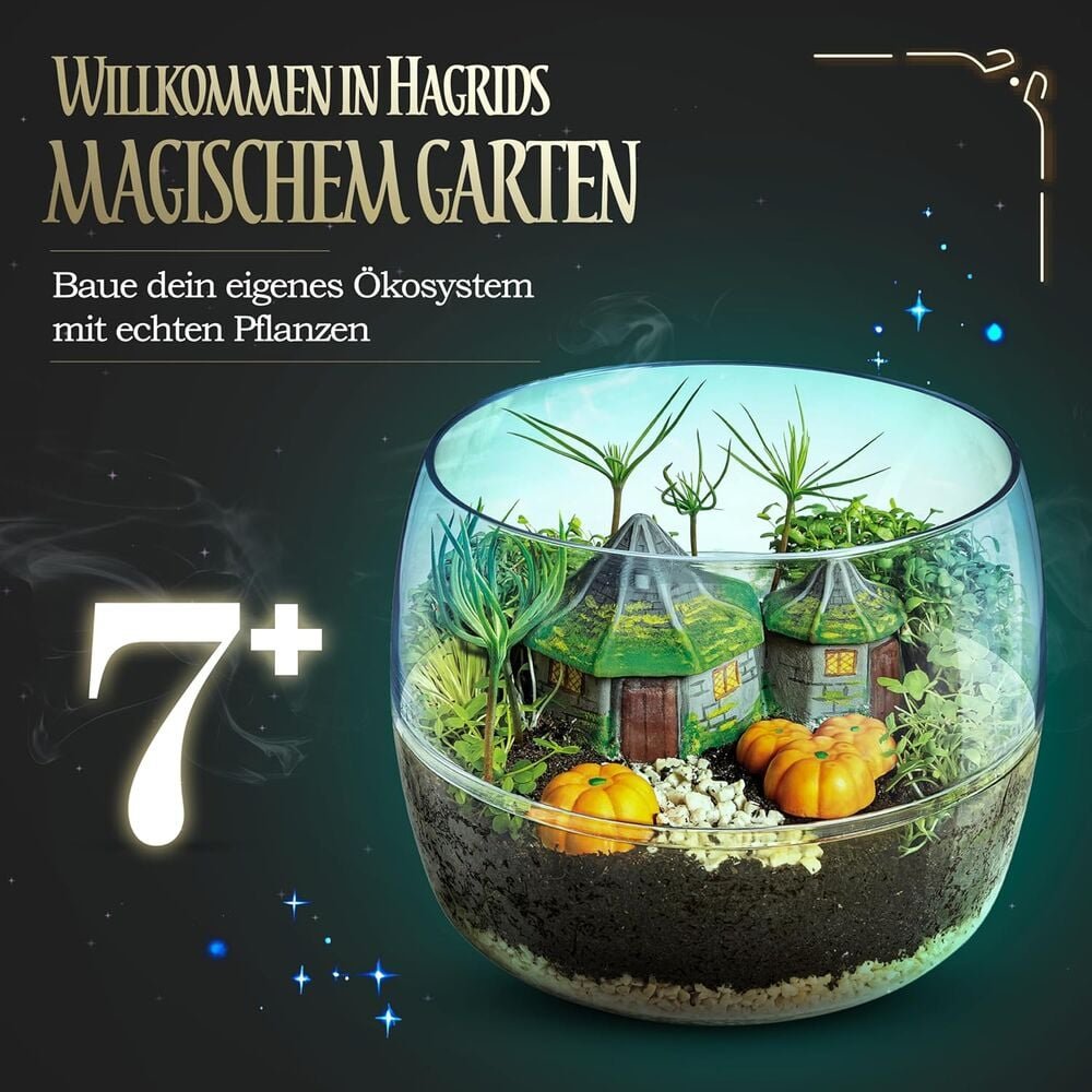 Terrarium Harry Potter - Imagen 4