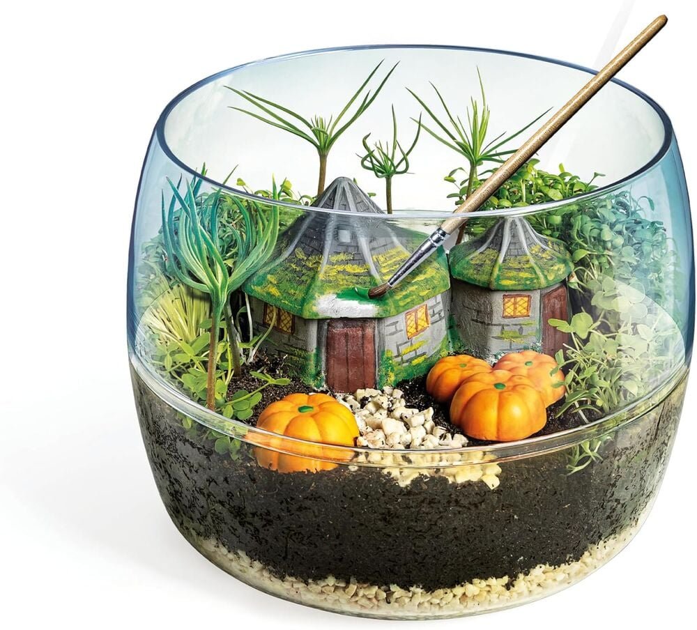 Terrarium Harry Potter - Imagen 5